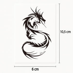 Tatuaggio Drago nero